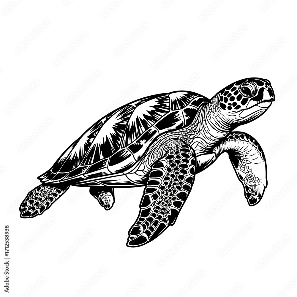 Obraz premium sea turtle vector illustration