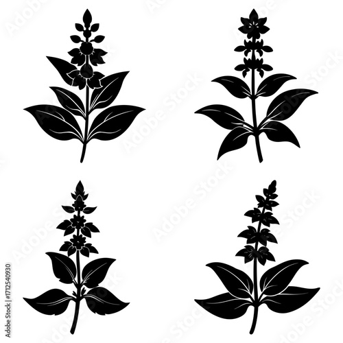 Four floral arrangements in black silhouette featuring leaves and flower spikes on a white background design