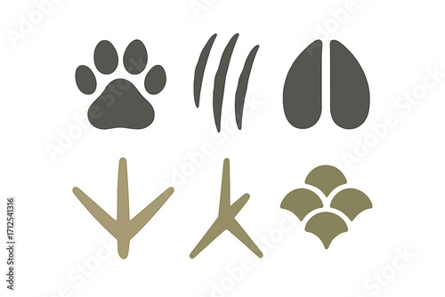 Various animal paw prints, hoof marks, bird tracks, and distinct claw scratches on a clean white background