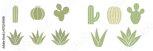 A diverse collection of stylized green desert plants, showcasing various types of cacti and succulent foliage in a modern design