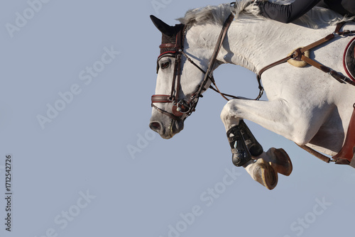 Photos Horse jumping in isolated background