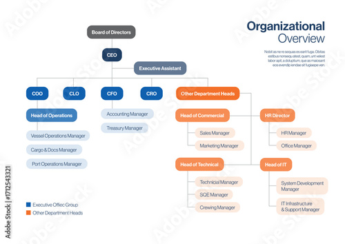 Org Chart Mind Map Infographic for Executive Organisational Charts, Flow Charts, Leadership Team Structure & Management Hierarchy