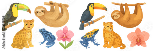 Vibrant rainforest animal set featuring toucans, sloths, leopards, and frogs among tropical orchids and lush foliage