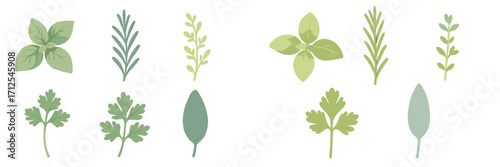 Fresh organic green culinary herbs basil rosemary parsley and sage leaves for healthy cooking and seasoning
