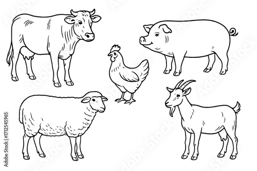 Farm animals in a simple line drawing showcasing a cow, pig, chicken, sheep, and goat in a playful arrangement