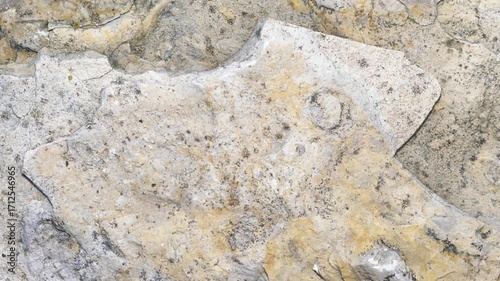 limestone with visible details. background or texture