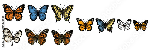 Colorful butterflies display intricate patterns and vivid colors in a detailed arrangement on a white background