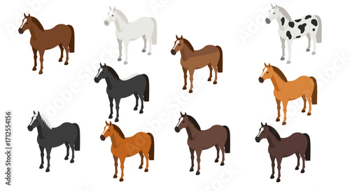 Collection of colorful horse illustrations in various breeds and patterns