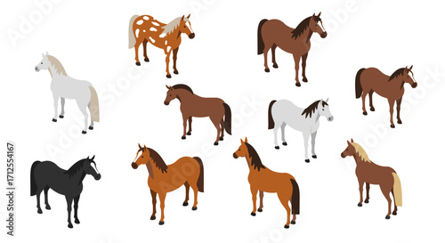 Isometric horse variety: diverse breeds and colors in flat design