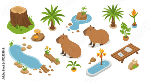 Isometric capybara habitat with tropical plants and water elements