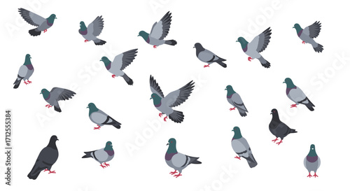 Flat style pigeon collection with various poses and flying illustrations