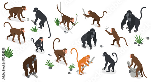 Isometric evolutionary scene featuring diverse primates interacting with tools in natural setting
