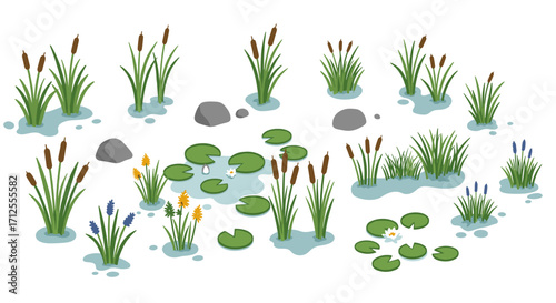 Isometric wetland plants and water lilies on white background