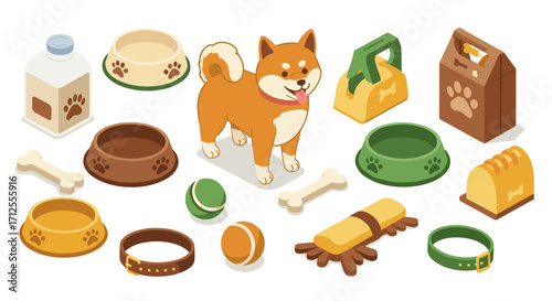 Colorful dog accessories and cute shiba inu with toys on white background