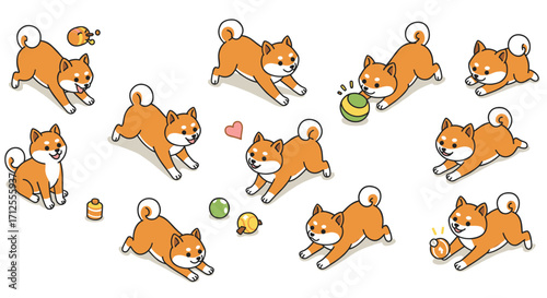 Playful shiba inu dogs with toys in cute cartoon style on white background