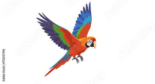 Colorful parrot in flight on white background
