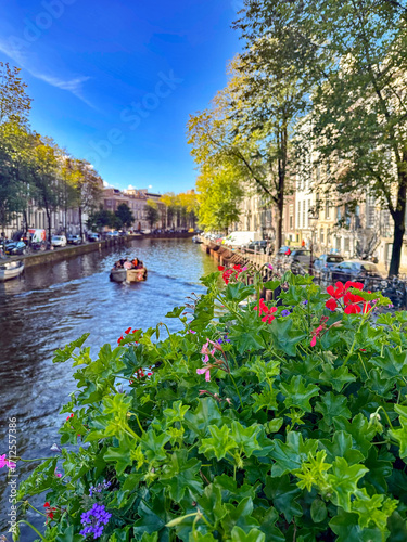 A beautiful view of an Amsterdam canal, with a splash of color from blooming flowers on a sunny summer day.
