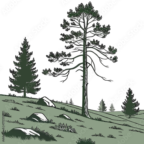 Vector art of a serene landscape illustration featuring a rolling green hill dotted with scattered rocks and a variety of trees, including a tall pine and fir trees