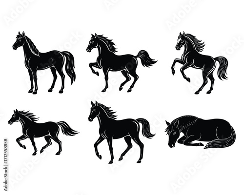 Vector of Horse silhouette Collection of horses silhouettes set on white background