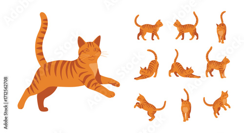 A collection of various orange tabby cat poses and actions. The cat is depicted in several dynamic and static positions, showcasing its agility and common behaviors.