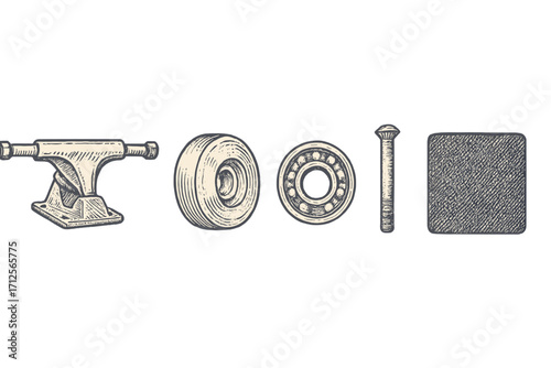 Skateboard parts displayed clearly on a white background for educational purpose