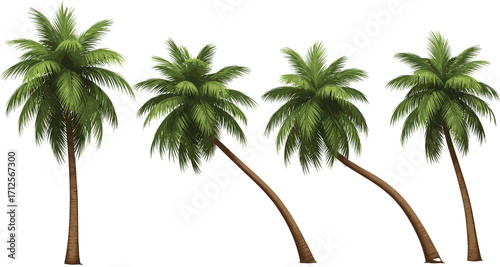 Palm Tree Vector Set Featuring Curved and Upright Trunks with Green Fronds for Tropical Nature, Landscape, and Botanical Design Themes