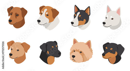 Flat style dog head portraits of eight different breeds on white background