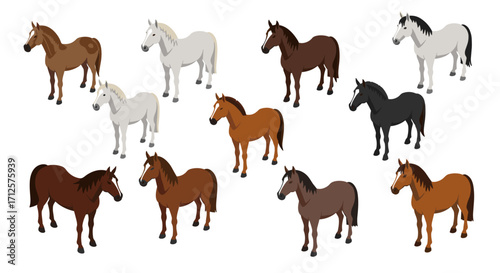 Diverse horse breeds in isometric style on white background