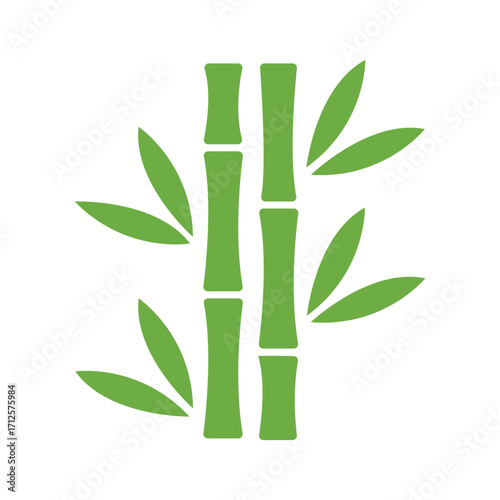 Green bamboo stalks and leaves form a minimalist, zenlike nature on white