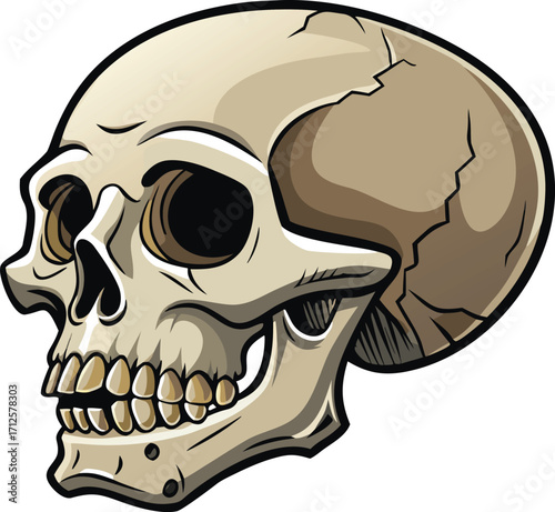 Detailed Cartoon Skull Illustration Art