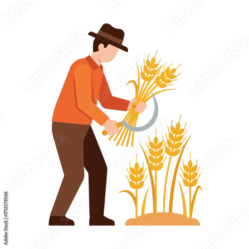 Harvesting Wheat
