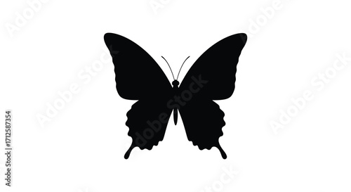 A striking black butterfly form against a stark white background silhouette