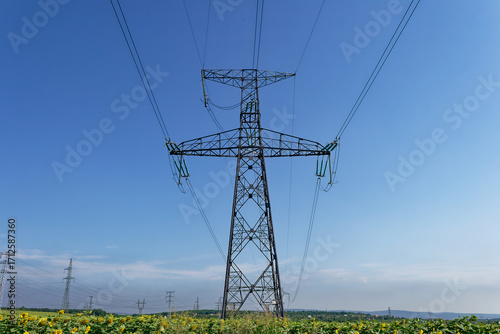 A striking view of a power pylon against a vivid blue sky, with a field of sunflowers.