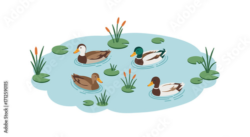 Charming ducks swimming in a serene pond with lilies in a flat style