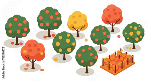Colorful autumn orchard with isometric apple trees and fruit harvest