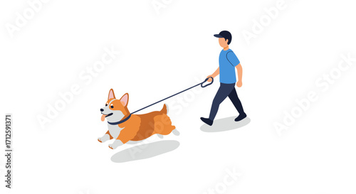 Isometric man walking corgi dog on leash in casual outfit