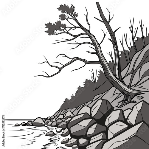 A solitary gnarled tree clings to a rocky shoreline with the calm water reflecting the sky and trees