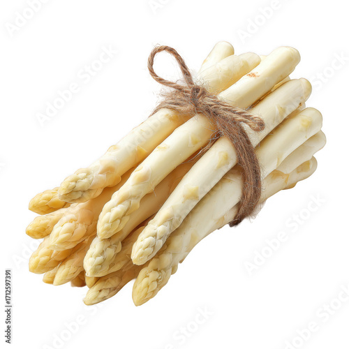 Fresh white asparagus isolated [Transparent Background PNG].