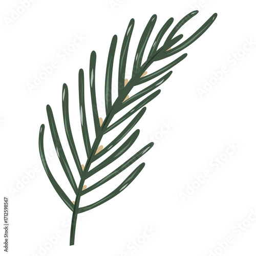 Spruce Twig Illustration, Pine Branch Sketch, Evergreen Twig Artwork