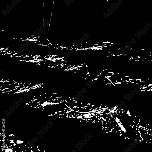 Abstract black and white grunge texture with scattered organic shapes and distressed monochromatic pattern