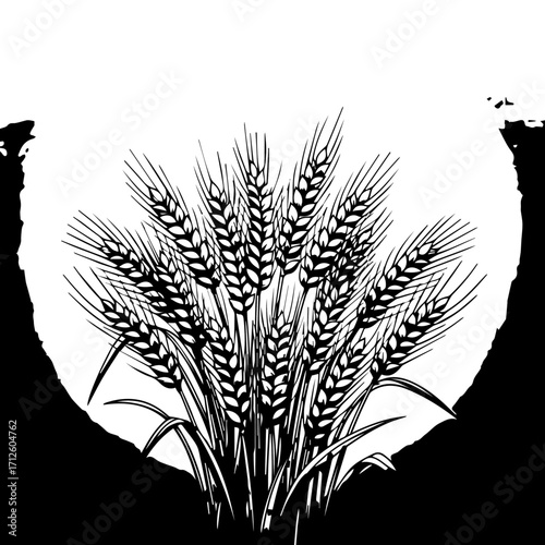 Black and White Illustration of Wheat Sheaves, Detailed Graphic, Harvest Theme