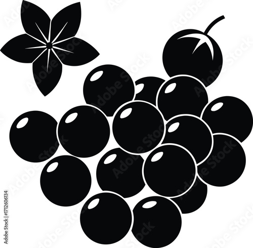 A vibrant vector illustration of a bunch of black grapes on a vine, with a repeating fruit and berry pattern