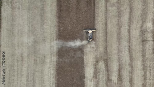 Aerial drone footage of a combine harvester cutting a golden wheat field, showcasing modern agriculture, grain harvest, rural landscape, and seasonal farming productivity.