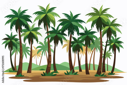 palm trees on the beach