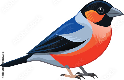 Vector art of a colorful bullfinch perched gracefully, showcasing its vibrant plumage
