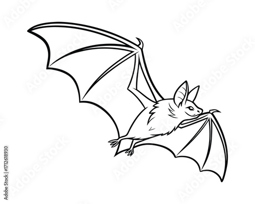 Nocturnal animal bat flying under moonlight in dark sky