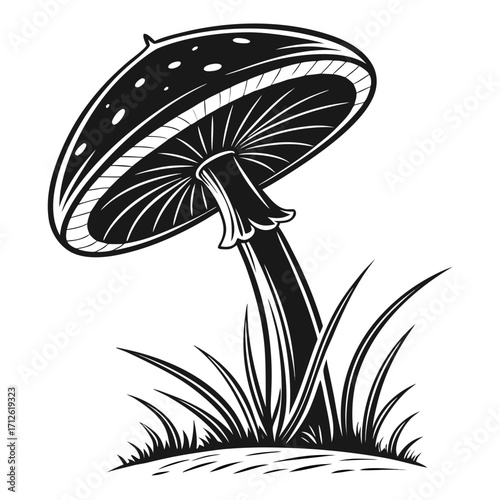 Illustration of a mushroom with grass in black and white style