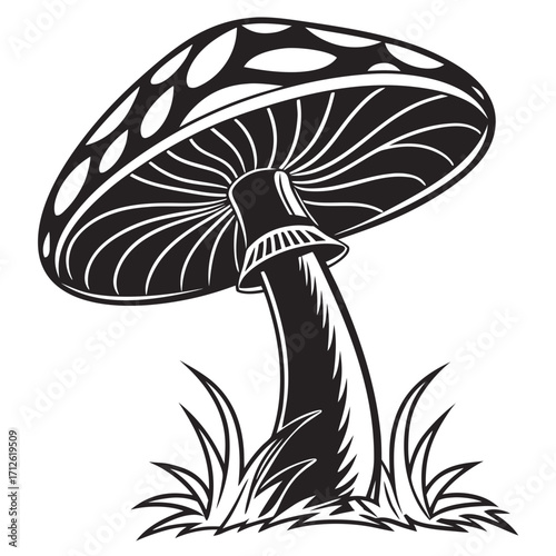 Vector art of amanita mushroom in grass, a captivating illustration of natures beauty