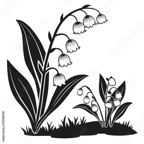 Vector art of stylized black and white illustration of lily of the valley
