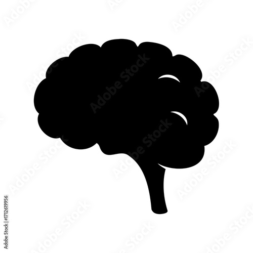 Silhouette of the human brain isolated on white background for learning